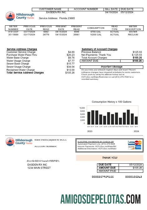 Em branco modelo de conta de serviços públicos comerciais do condado de Hillsborough nos EUA em formatos Word e PDF
